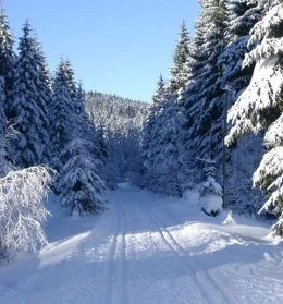 Erzgebirge winterlandschap