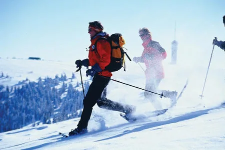 Schwarzwald winterlandschap